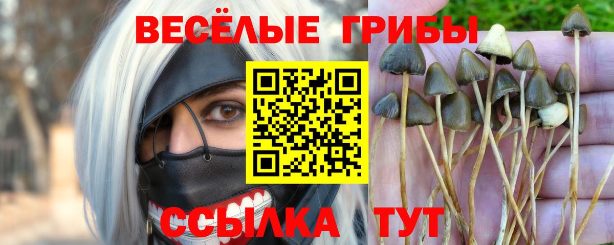 Псилоцибиновые грибы мухоморы  Вход с VPN  Тольятти  Псилоцибиновые грибы ЛСД 
